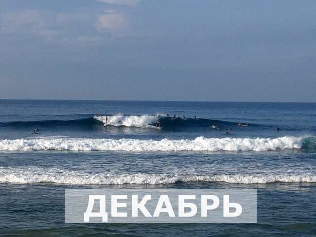 Погода шри ланка вода температура