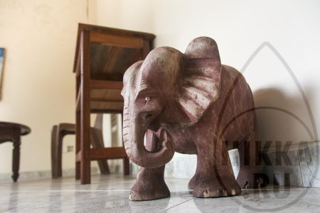 аренда виллы в Хиккадуве 5 спален деревянный слон