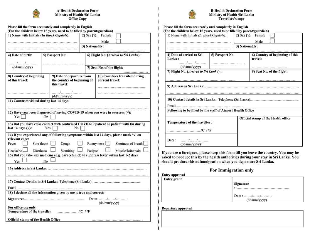 Declaration form египет образец заполнения 2022