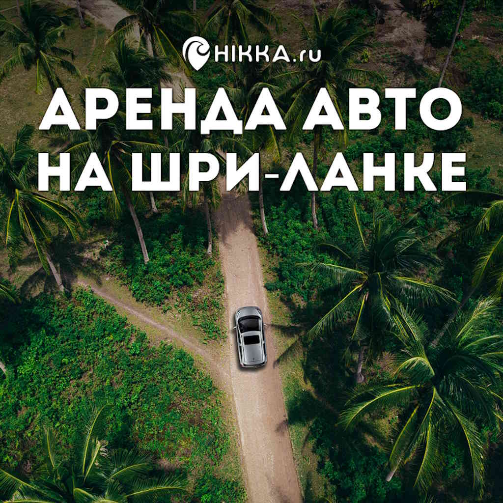 Аренда автомобиля в Шри-Ланке